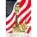 STATUE OF LIBERTY USA UNITED STATES FLAG PIN